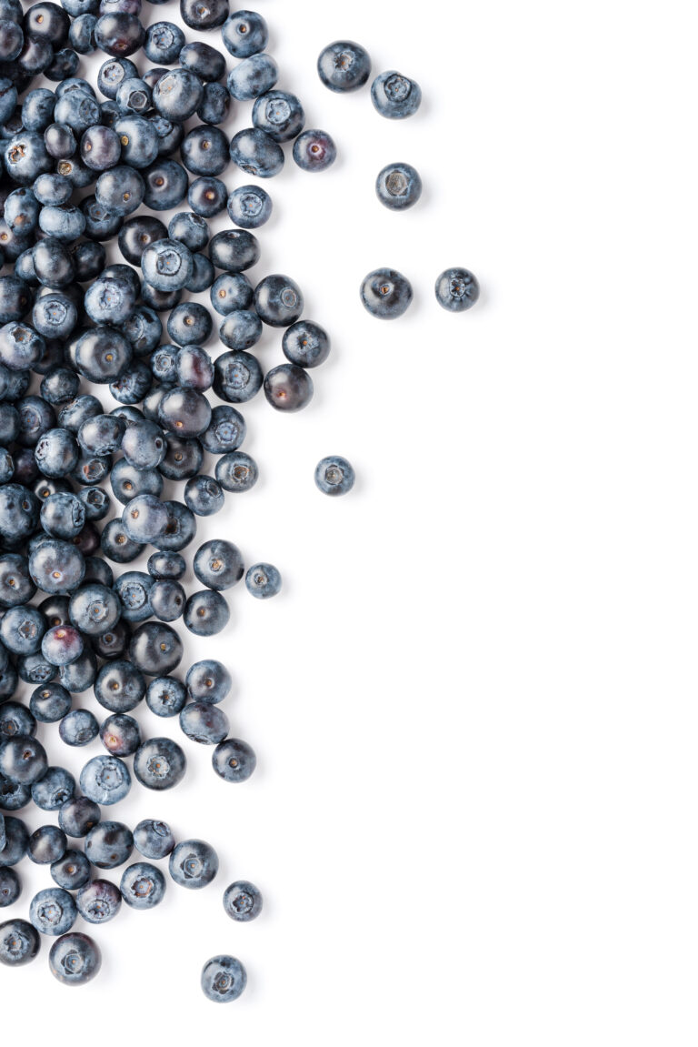 10 Ways to Improve your Pet’s Diet