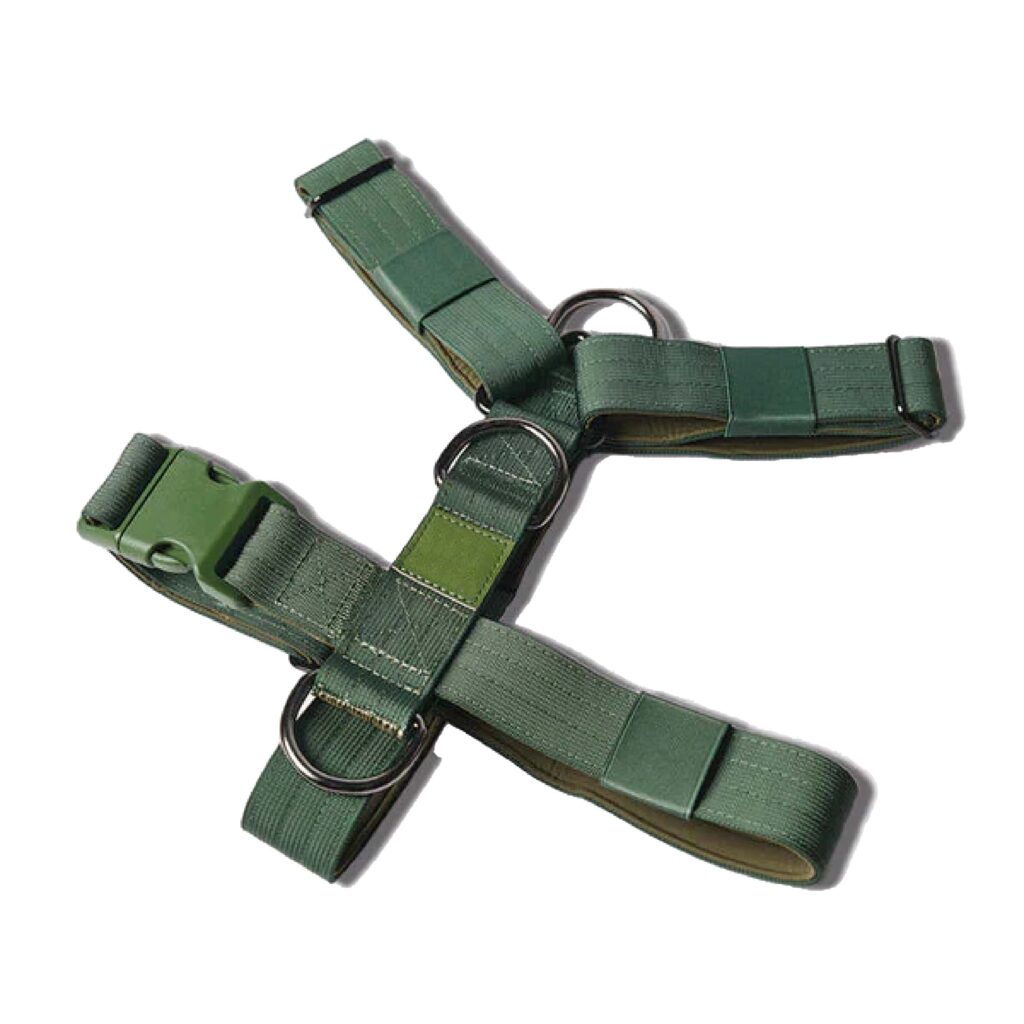 Green Body Harness with anti-pull hardware.