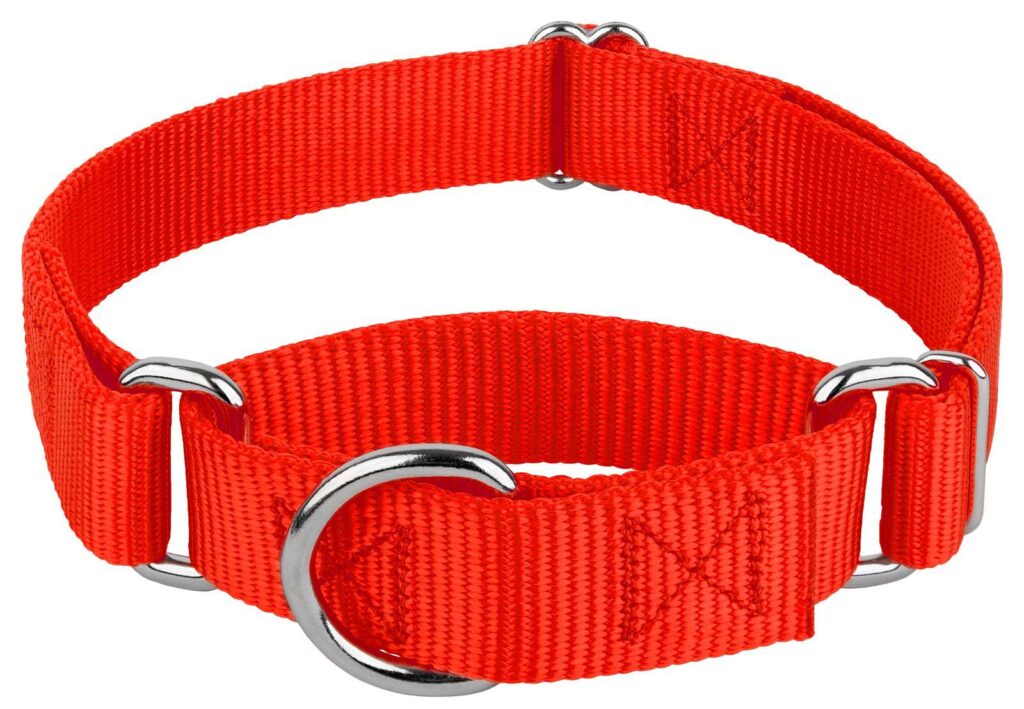Martingale Collar