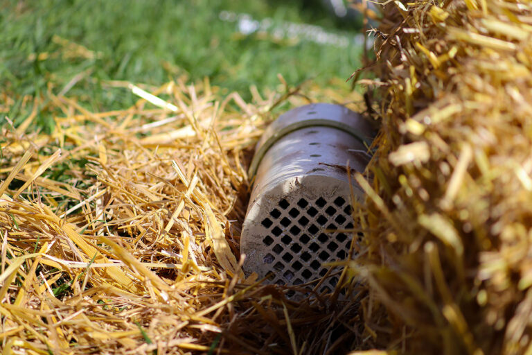 BHA Barn Hunt Trial (MB)