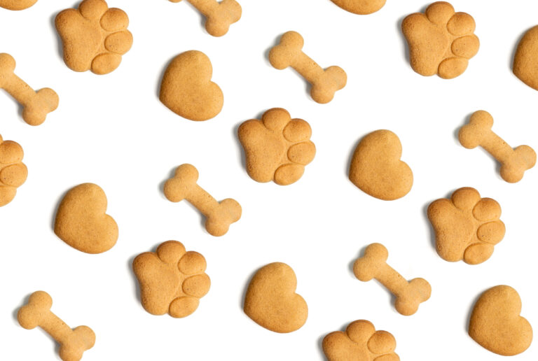 PAWSOME Treats: Brain-Bait Tuna Fudge